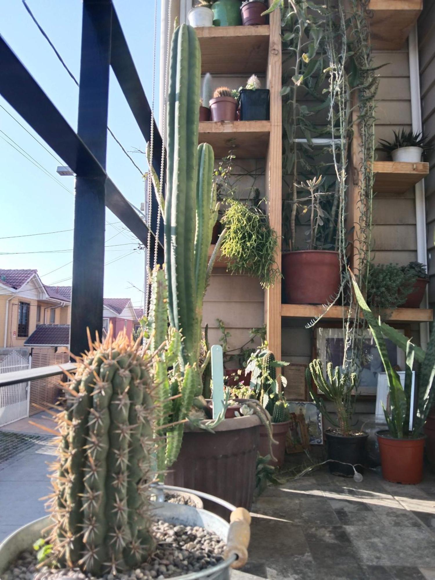 Hostel Tu Espacio Re - Habitaciones Cerca Del Aeropuerto Сантяго Екстериор снимка